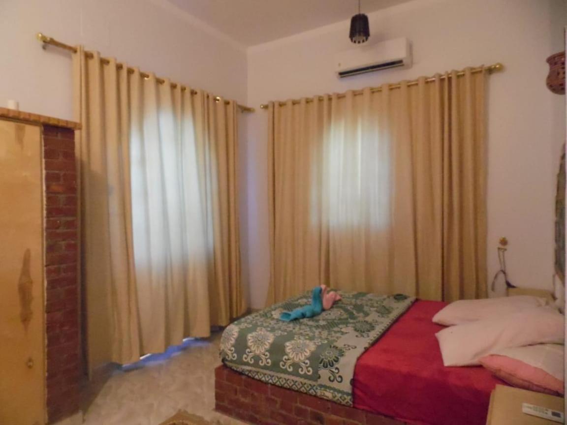 Nour House Daire Luksor Dış mekan fotoğraf